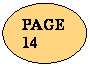 Ellipse: PAGE      14